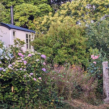 The Applehay Villa Constantine Exterior photo